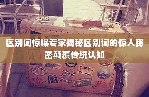 区别词惊曝专家揭秘区别词的惊人秘密颠覆传统认知