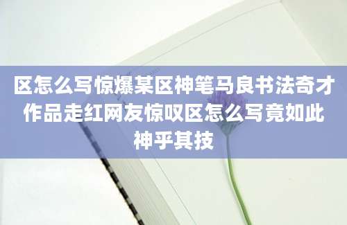 区怎么写惊爆某区神笔马良书法奇才作品走红网友惊叹区怎么写竟如此神乎其技