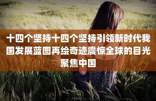 十四个坚持十四个坚持引领新时代我国发展蓝图再绘奇迹震惊全球的目光聚焦中国