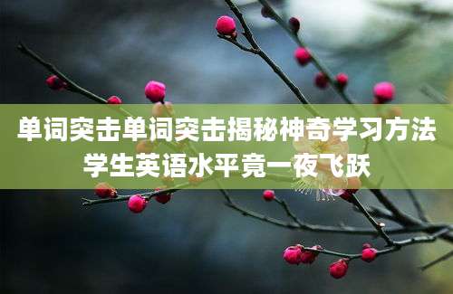 单词突击单词突击揭秘神奇学习方法学生英语水平竟一夜飞跃