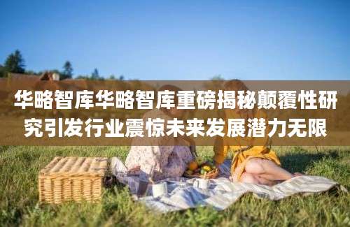 华略智库华略智库重磅揭秘颠覆性研究引发行业震惊未来发展潜力无限