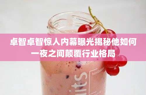 卓智卓智惊人内幕曝光揭秘他如何一夜之间颠覆行业格局