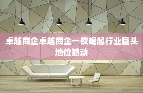 卓越商企卓越商企一夜崛起行业巨头地位撼动