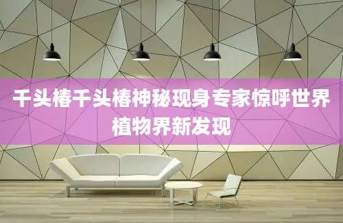 千头椿千头椿神秘现身专家惊呼世界植物界新发现