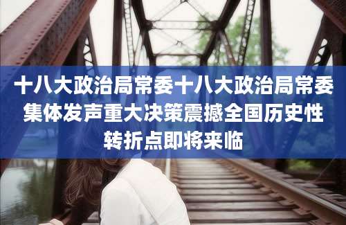 十八大政治局常委十八大政治局常委集体发声重大决策震撼全国历史性转折点即将来临