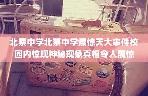 北蔡中学北蔡中学爆惊天大事件校园内惊现神秘现象真相令人震惊