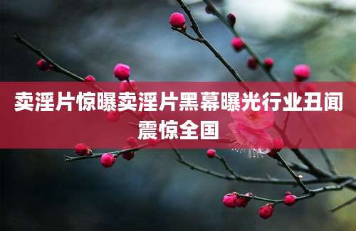 卖淫片惊曝卖淫片黑幕曝光行业丑闻震惊全国