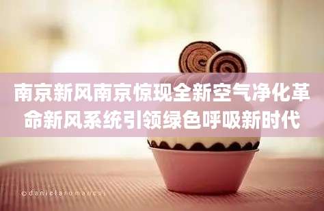 南京新风南京惊现全新空气净化革命新风系统引领绿色呼吸新时代