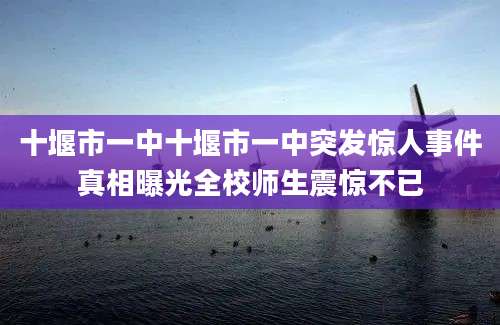十堰市一中十堰市一中突发惊人事件真相曝光全校师生震惊不已