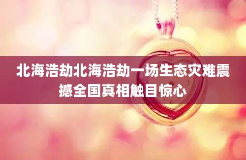 北海浩劫北海浩劫一场生态灾难震撼全国真相触目惊心