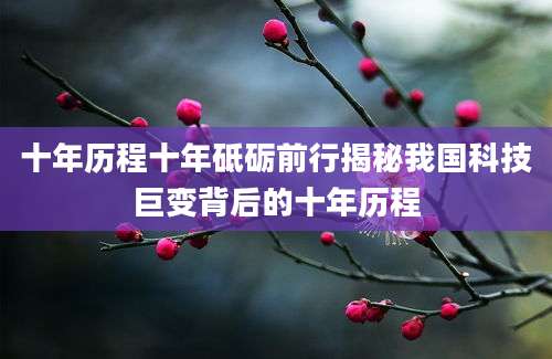 十年历程十年砥砺前行揭秘我国科技巨变背后的十年历程