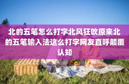 北的五笔怎么打字北风狂吹原来北的五笔输入法这么打字网友直呼颠覆认知