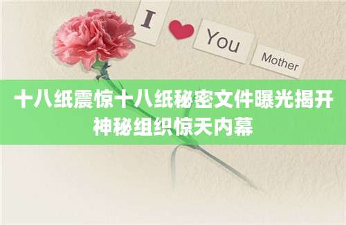 十八纸震惊十八纸秘密文件曝光揭开神秘组织惊天内幕