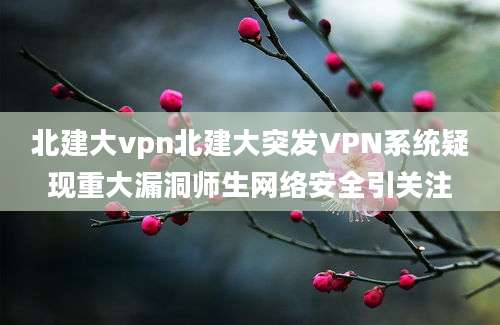北建大vpn北建大突发VPN系统疑现重大漏洞师生网络安全引关注