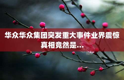 华众华众集团突发重大事件业界震惊真相竟然是...