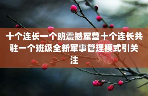 十个连长一个班震撼军营十个连长共驻一个班级全新军事管理模式引关注