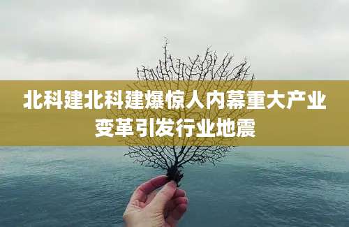 北科建北科建爆惊人内幕重大产业变革引发行业地震
