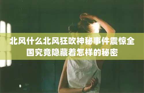 北风什么北风狂吹神秘事件震惊全国究竟隐藏着怎样的秘密