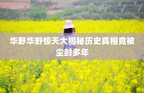 华野华野惊天大揭秘历史真相竟被尘封多年