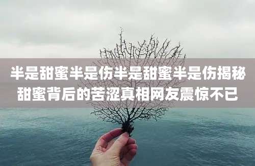 半是甜蜜半是伤半是甜蜜半是伤揭秘甜蜜背后的苦涩真相网友震惊不已