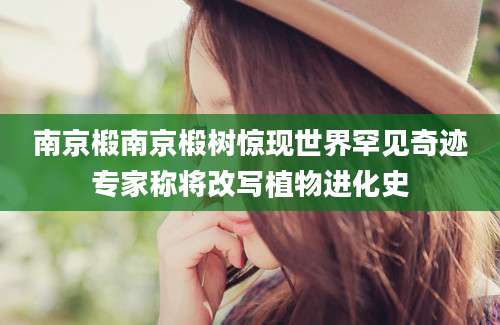 南京椴南京椴树惊现世界罕见奇迹专家称将改写植物进化史