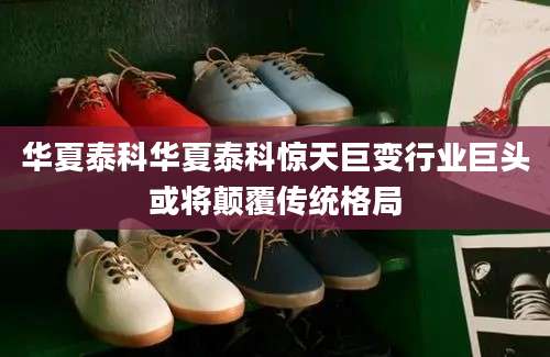 华夏泰科华夏泰科惊天巨变行业巨头或将颠覆传统格局