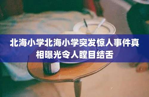 北海小学北海小学突发惊人事件真相曝光令人瞠目结舌