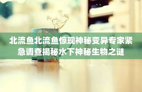 北流鱼北流鱼惊现神秘变异专家紧急调查揭秘水下神秘生物之谜