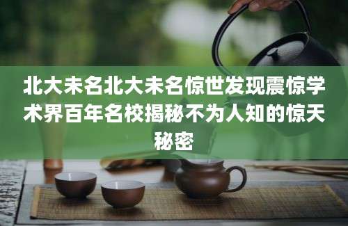 北大未名北大未名惊世发现震惊学术界百年名校揭秘不为人知的惊天秘密