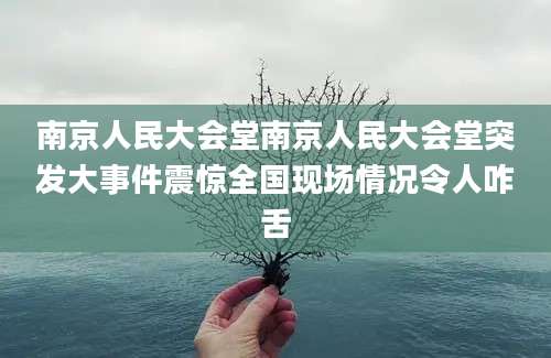 南京人民大会堂南京人民大会堂突发大事件震惊全国现场情况令人咋舌