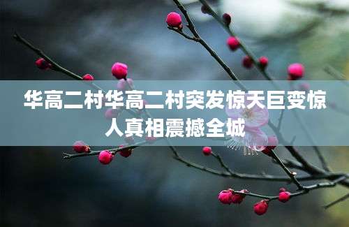 华高二村华高二村突发惊天巨变惊人真相震撼全城