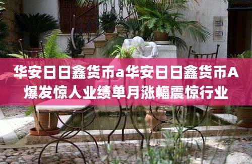 华安日日鑫货币a华安日日鑫货币A爆发惊人业绩单月涨幅震惊行业