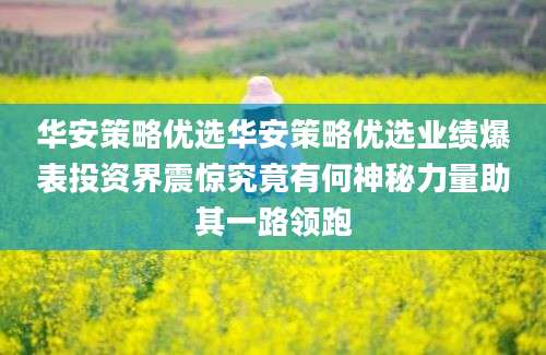 华安策略优选华安策略优选业绩爆表投资界震惊究竟有何神秘力量助其一路领跑