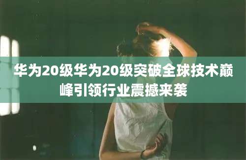 华为20级华为20级突破全球技术巅峰引领行业震撼来袭