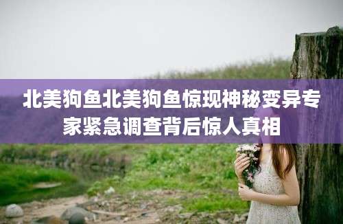 北美狗鱼北美狗鱼惊现神秘变异专家紧急调查背后惊人真相
