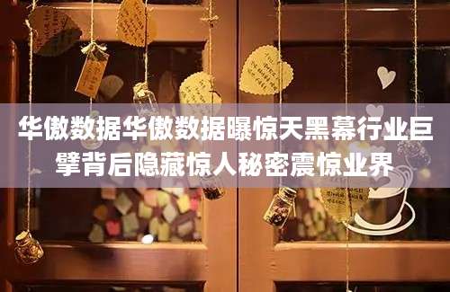 华傲数据华傲数据曝惊天黑幕行业巨擘背后隐藏惊人秘密震惊业界