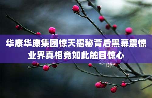 华康华康集团惊天揭秘背后黑幕震惊业界真相竟如此触目惊心
