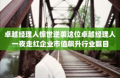 卓越经理人惊世逆袭这位卓越经理人一夜走红企业市值飙升行业瞩目