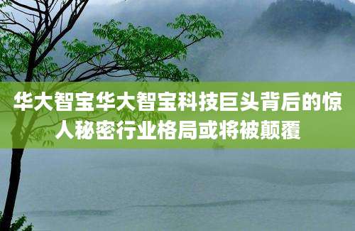 华大智宝华大智宝科技巨头背后的惊人秘密行业格局或将被颠覆