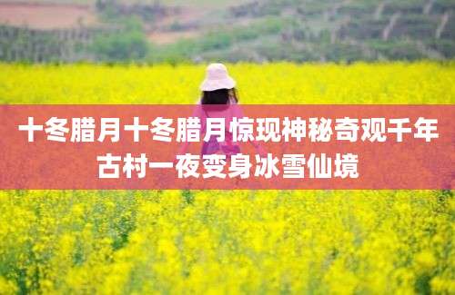 十冬腊月十冬腊月惊现神秘奇观千年古村一夜变身冰雪仙境