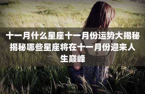 十一月什么星座十一月份运势大揭秘揭秘哪些星座将在十一月份迎来人生巅峰