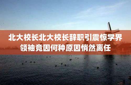 北大校长北大校长辞职引震惊学界领袖竟因何种原因悄然离任