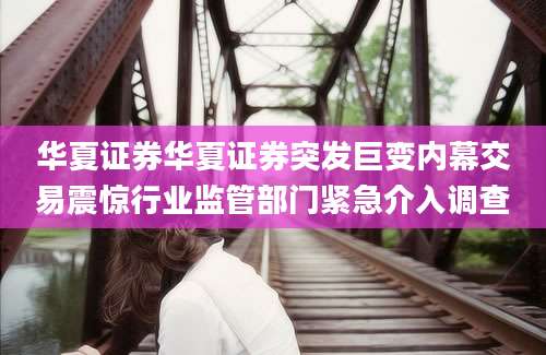 华夏证券华夏证券突发巨变内幕交易震惊行业监管部门紧急介入调查