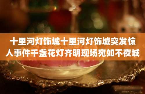 十里河灯饰城十里河灯饰城突发惊人事件千盏花灯齐明现场宛如不夜城