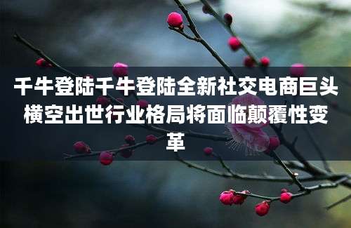 千牛登陆千牛登陆全新社交电商巨头横空出世行业格局将面临颠覆性变革