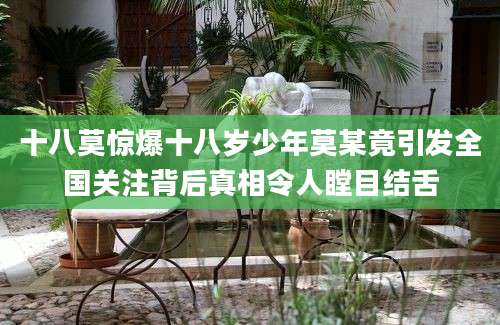 十八莫惊爆十八岁少年莫某竟引发全国关注背后真相令人瞠目结舌
