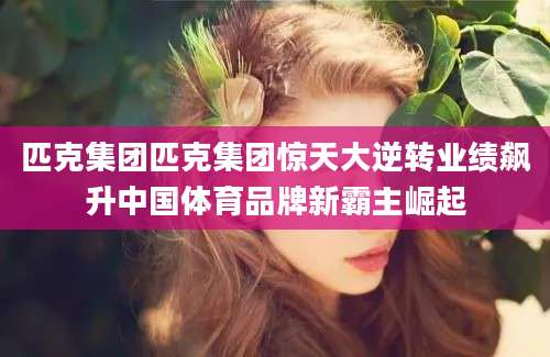 匹克集团匹克集团惊天大逆转业绩飙升中国体育品牌新霸主崛起