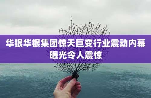 华银华银集团惊天巨变行业震动内幕曝光令人震惊