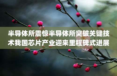 半导体所震惊半导体所突破关键技术我国芯片产业迎来里程碑式进展