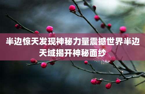 半边惊天发现神秘力量震撼世界半边天域揭开神秘面纱